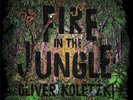 Oliver Koletzki Fire in the Jungle 1LP Vinyl 2019 Style before Talent SVT263LP