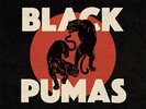 Black Pumas Vinyl LP New 2019