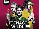 ASH - TEENAGE WILDLIFE - 25 YEARS OF ASH NEW VINYL