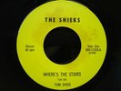 Garage Band 45 Record The Shieks  - WHERE'S THE STAIRS - WI, MINN ?
