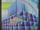 DELIRED CAMELEON FAMILY: Delired Chameleon Family LP (France, Cyrille Verdeaux