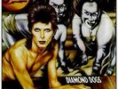 DIAMOND DOGS-1LP RED-DAVID BOWIE NEW VINYL RECORD
