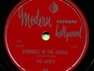 CADETS (Stranded In The Jungle / I Want You) R&B/SOUL 78  RPM  RECORD
