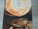 Tigers Jaw - Self Titled Vinyl orange burst