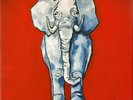 WHITE STRIPES CUSTOM ELEPHANT 4X7