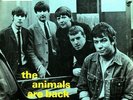 The Animals The Animals Are Back Vinyl Single 7inch Columbia