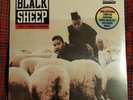 A Wolf In Sheep's Clothing LP by Black Sheep colored vinyl sealed new 848368-1