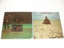 (2) SEALED LP's - John Buck Wilkin - Self-Titled; In Search of Food,Clothing,Sex