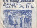 FUNK / NORTHERN  -- YOUNG  SENATORS -- JUNGLE / THAT'S THE WAY IT IS -- RARE P/S