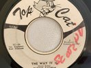RICKY STORM - THE WAY IT IS - TOP CAT ( ROOTS 7 )