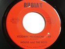 MOUSE and THE BOYS  Xcedrin Headache #69  RUBIAT 1968 Florida Garage Psych 45