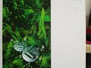 BIG BUD - MR NICE EP - 2x12