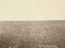 THE MILK CARTON KIDS: ASH & CLAY {LP vinyl}