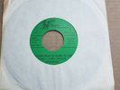CHERYL JOHNSON RACCOON MEAT IS GOOD TO EAT 45-RARE NORTHERN SOUL