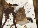 SIGNED Bring Me The Horizon This Is What The Edge Of Your Seat Was Made For 12”