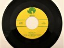 BENNY JOY BIG JOHN TAYLOR ITTIE BITTIE EVERYTHING/ MONEY 45 ROCKABILLY Buck Ram