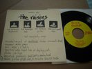 The Raisins - Quarters / Tour Guide 45 private power pop with lyrics 1981 rare