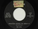 Garage 45 - The Evil - Whatcha Gonna Do About It? - Living Legend - mp3