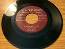 TEXAS ROCKABILLY 45 BUDDY MILLER LITTLE BO PETE GEM 102 MINT