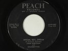Teen 45 - John Worthan & Charmettes - Dream, Boy, Dream - Peach - mp3