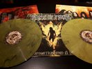 Cradle Of Filth - Damnation And A Day lim. Color Vinyl LP yellow/black #421/1000