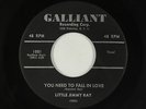 R&B Soul Popcorn 45 - Little Jimmy Ray - You Need To Fall In Love - Galliant mp3