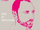 Fink - Sort of Revolution