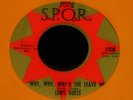 Lenis Guess-Why, Why, Why'd She Leave Me -ORIGINAL 1971 US Soul 45-HEAR