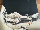Pinkerton [LP] by Weezer; Exclusive VMP Pressing in Blue/Black Marbeled Vinyl; E