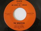 RARE 60'S GARAGE PSYCH ROCK 45. THE WHATEVER-THE VALLEY OF DEATH / ECLIPSE-1101