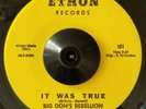 Big Don's Rebellion It Was True / Smokin 45 Rare Funk Soul Breaks Ethon HEAR