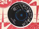 rare Elvis Presley single judy RCA 1628