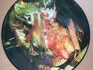 KISS, WICKED KISSES, 180G LIMITED ED. PICTURE DISC W/ JACKET, AUSSIE PROMO, NEW
