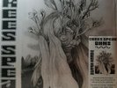 Trees Speak - Ohms - Limited LP + 7'' + Download Code - Factory sealed - MINT