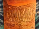 Savoy Brown LP Blue Matter PARROT Original (1969) Bell Sound BESTWAY