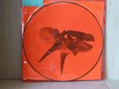 Alice In Chains Limited Edition x 2  Picture Disc .The Devil Put Dinosaurs here.