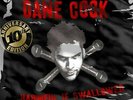 COOK,DANE-HARMFUL IF SWALLOWED (US IMPORT) VINYL LP NEW