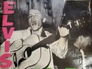 ELVIS PRESLEY Self Titled Debut LP 1956 1st ALBUM RCA LPM-1254 RE MONO