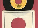 Larry Chelsi Glad Rag Doll I'm Glad There Leopard 45 Record M- Popcorn R&B MOD