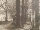 ANTROPOV-MANU Cello plays Romanian Contemporary Clasiical Music- Electrecord LP