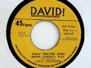 LEILA DUCHESNE 45 What They're Doin' Down Jamaica Way DAVID Rec '71 A+ Hear FUNK