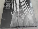 PETER GABRIEL - 2    ,REMASTER, 2 Lps - still-sealed,  audiophile LPs