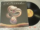 Whitesnake ?– 
