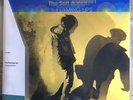 The Flaming Lips The Soft Bulletin Vinyl Me Please Mustard Yellow Vinyl Record