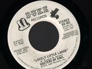 (Hear) 1973 Masters of Soul DJ 45 (Lovely Little Lassie)