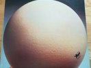 EGG Civil Surface Vinyl LP C1510 Caroline 1974 EX/EX