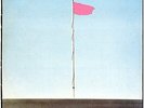 WIRE - PINK FLAG