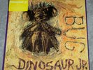 Dinosaur Jr Bug Yellow Translucent Vinyl Newbury Comics xxx/1000 OOP
