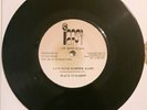 Black Stallion Lovers Rare 7inch