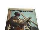 Muddy Waters  